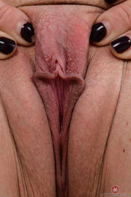 hdfhdafg.webp