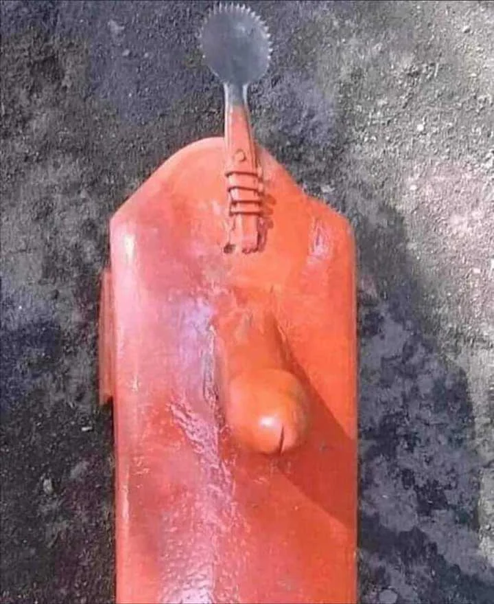 Muti-task