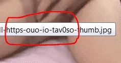1622474888555.webp