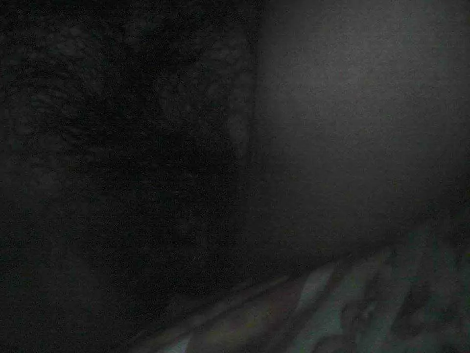 received_m_mid_1410679242431_855bb3dccd07589961_0.webp