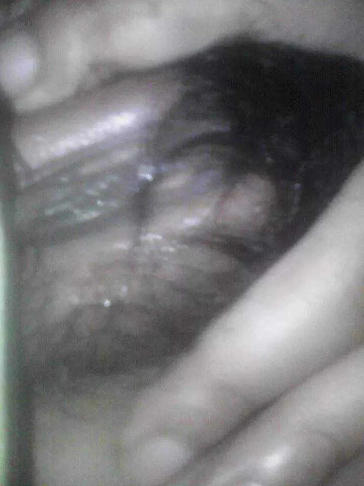 received_m_mid_1410678575379_4dd8d902a4d6269d61_0.webp