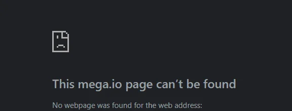 1641256893379.webp