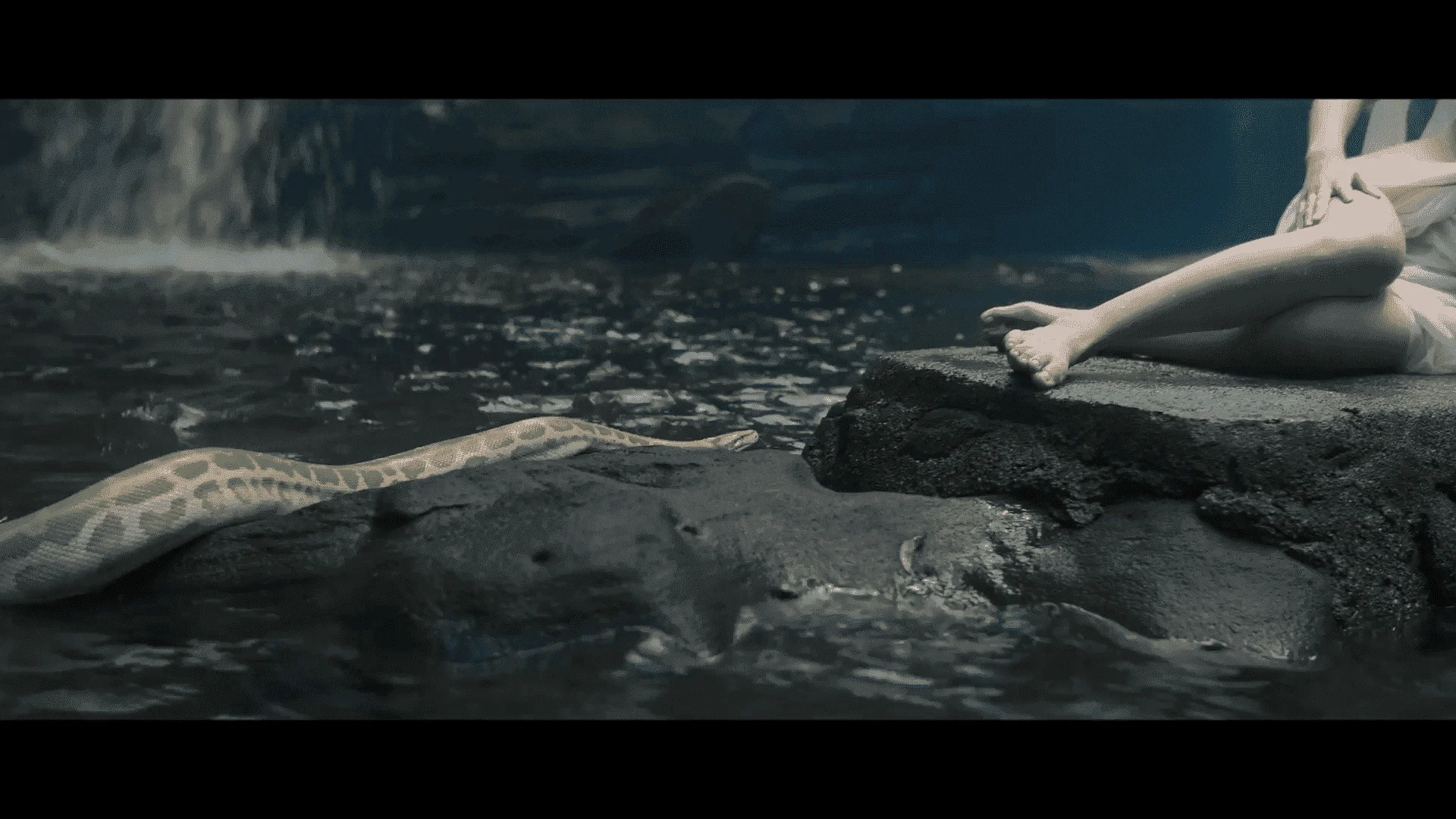 Screenshot (1331).png