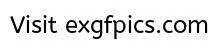 4.webp