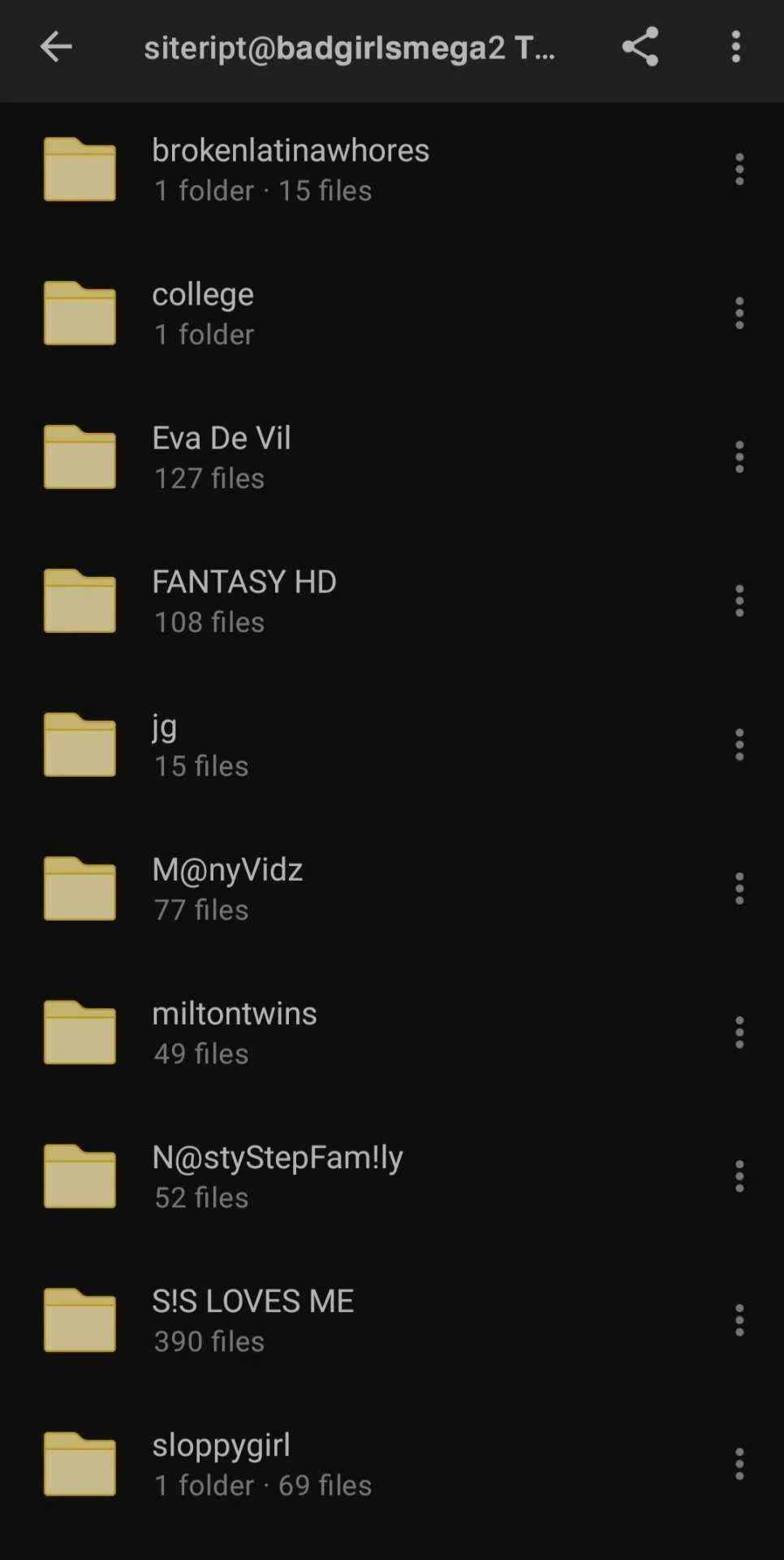 500 GB Megalink
