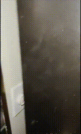 20221013093652(1).gif