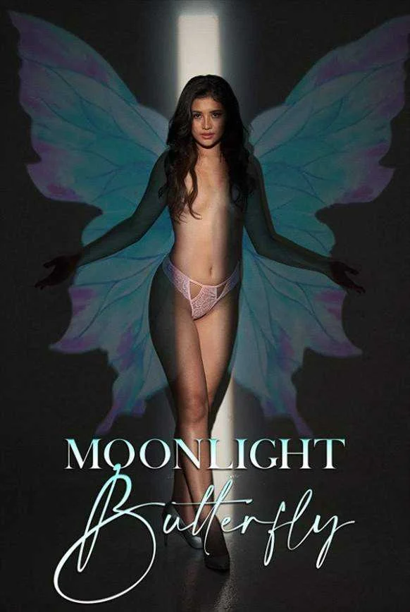 moonlight.webp