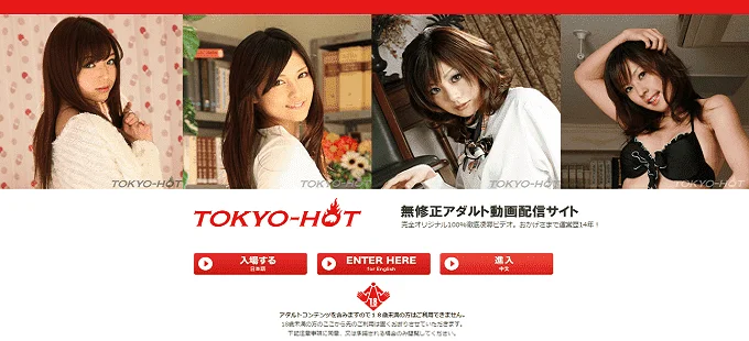 tokyo-hot_difference_ic.webp
