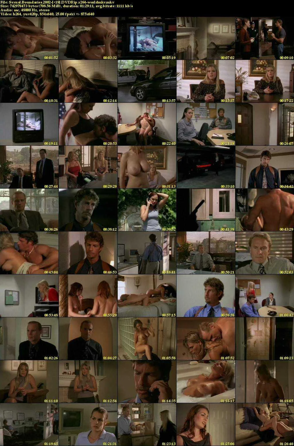 Sexual.Boundaries.2002-__18_.DVDRip.x264-worldmkv_s.webp