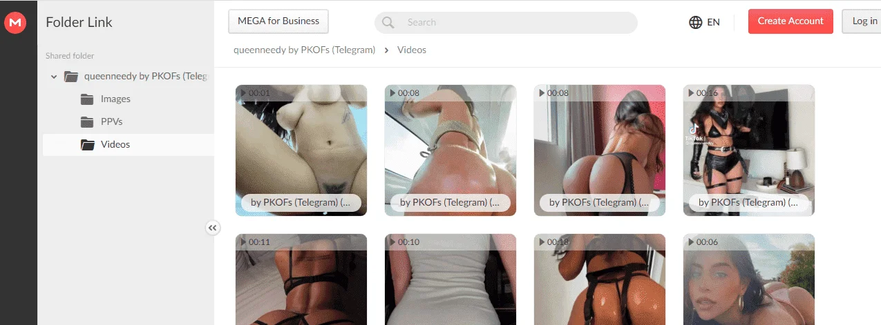 mega.webp