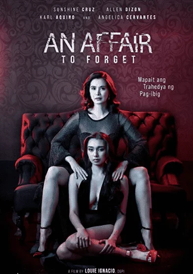 An Affair to Forget (2022) Full Movie HD720P