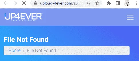 1673249491234.webp
