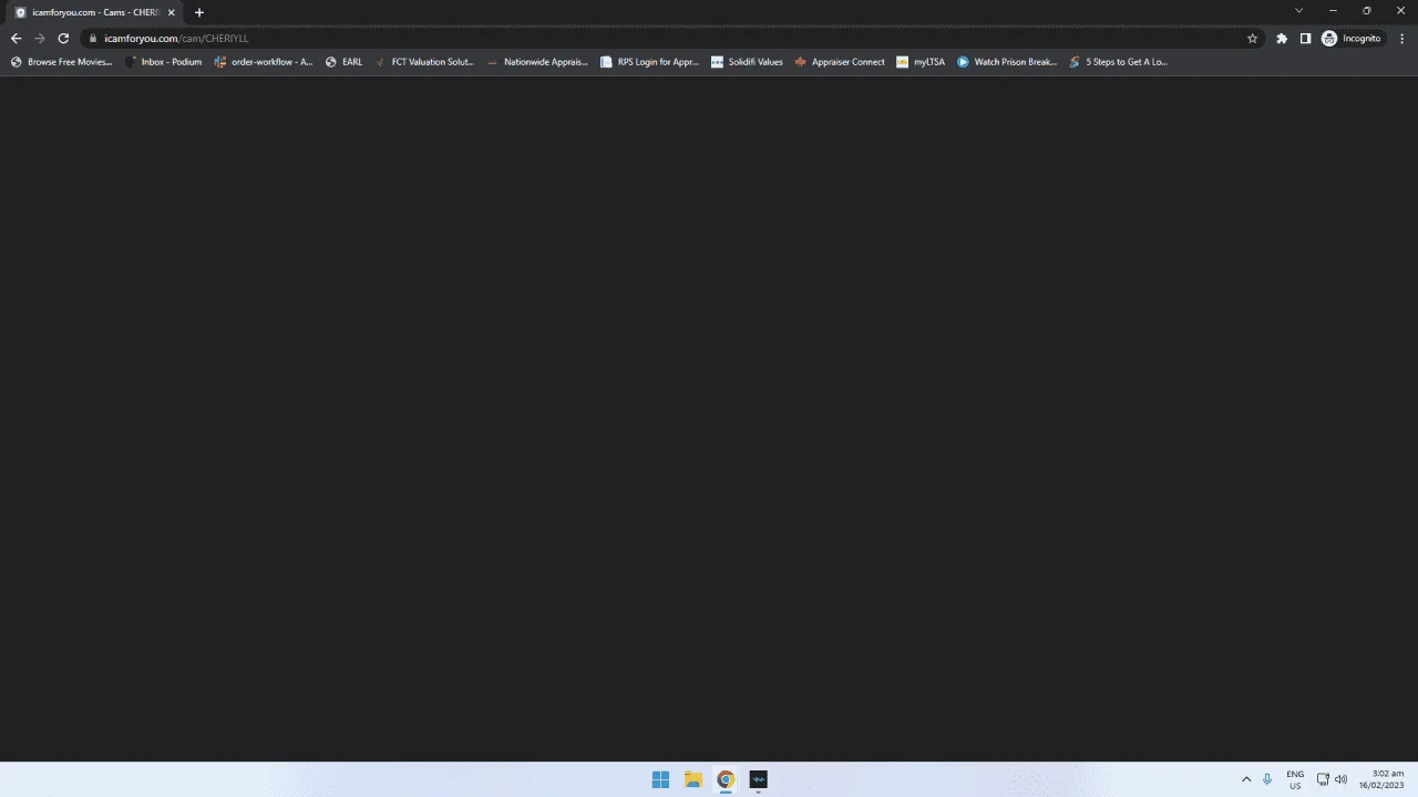 1676545339282.webp