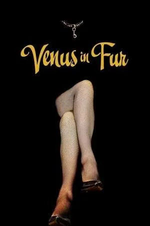 Venus in Fur (2013).webp