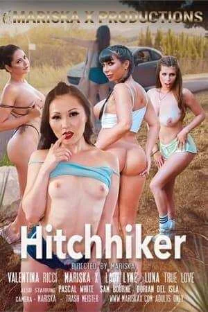 hitchhiker 1.webp