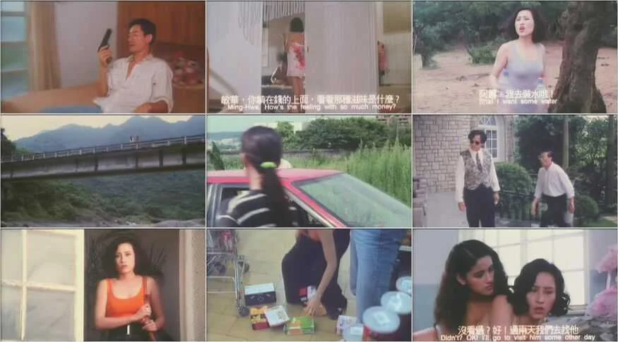 Sex Revenge (1993)a.webp