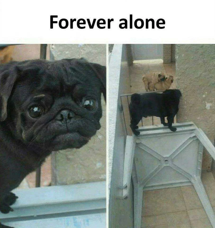 Forever alone :(