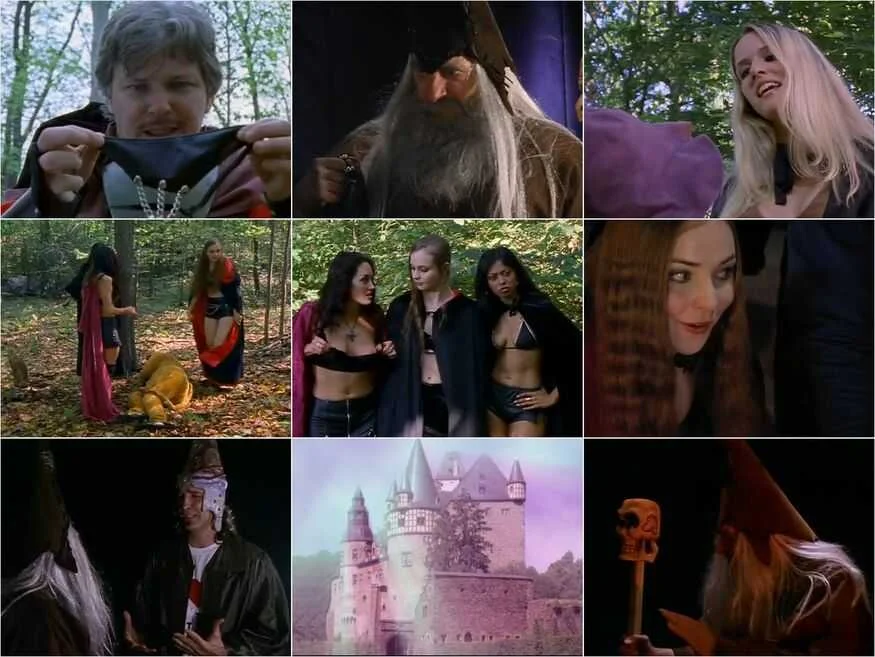 Download The+Lord+of+the+G-Strings+The+Femaleship+of+the+String+(2003).webp