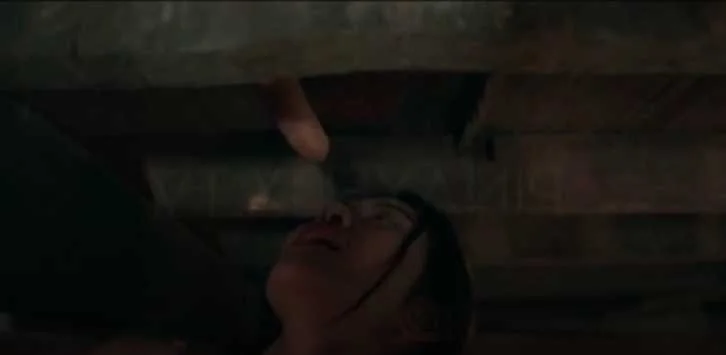 May tumubong matigas na kabute sa kisame.jpg
