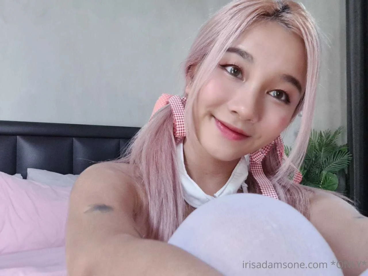 irisadamsone_2128058.webp