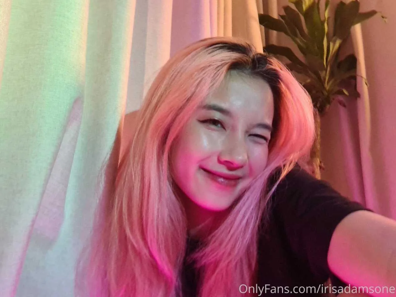 irisadamsone_2128826.webp