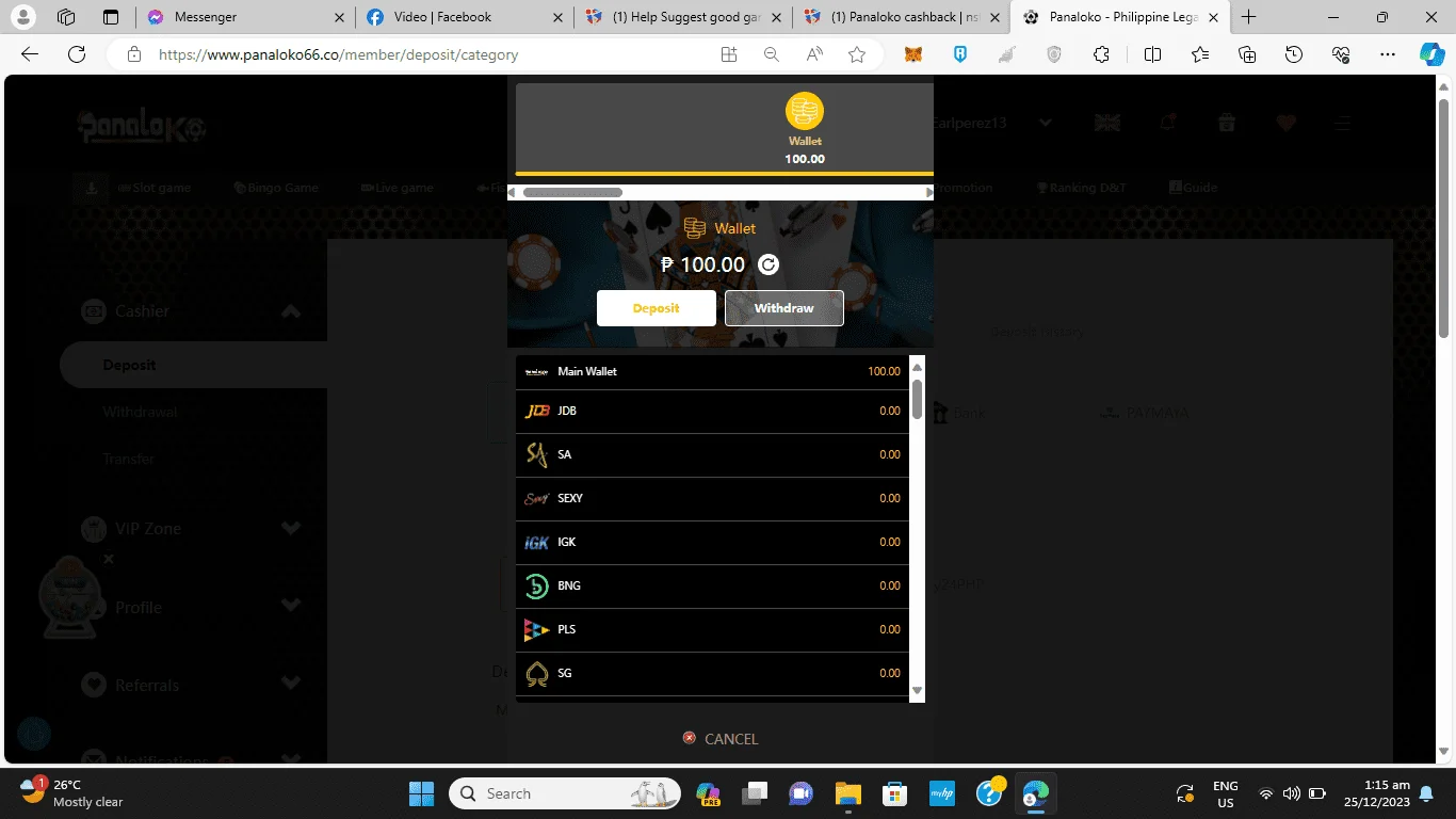 Screenshot 2023-12-25 011516.webp