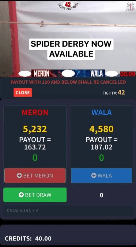1703835149874.webp