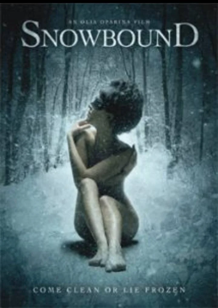 Snowbound (2017)
