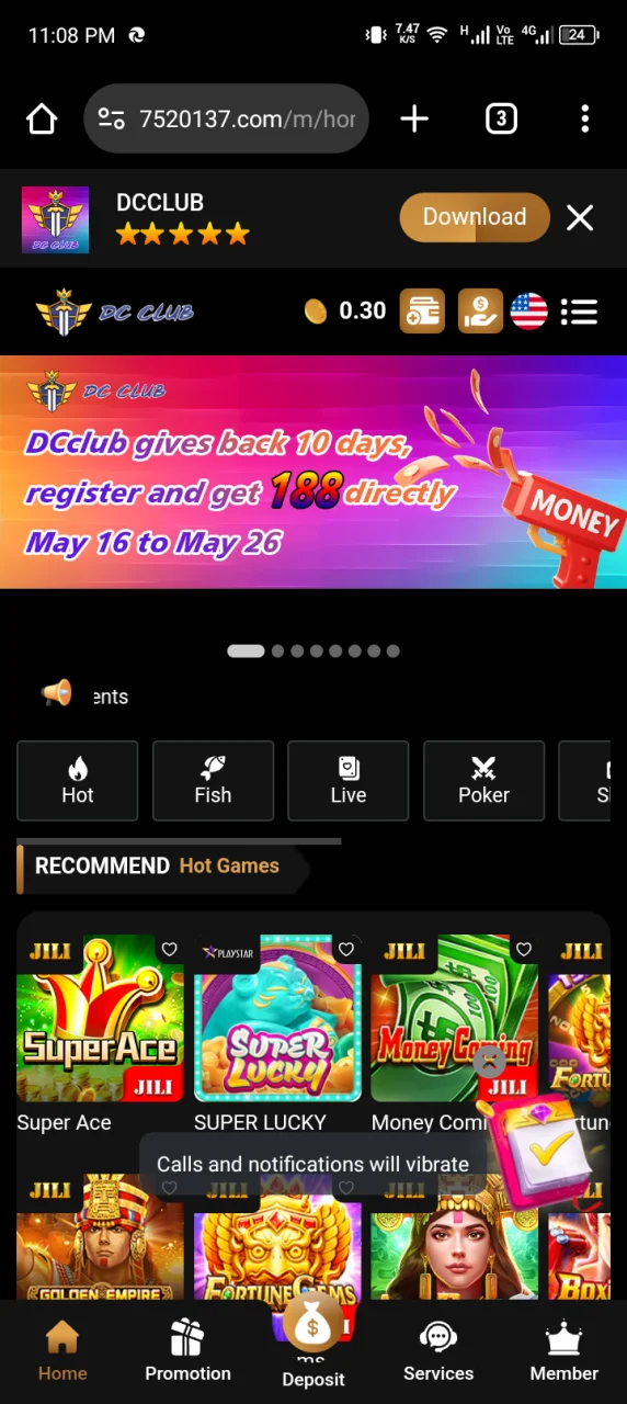 Screenshot_20240516-230846.webp