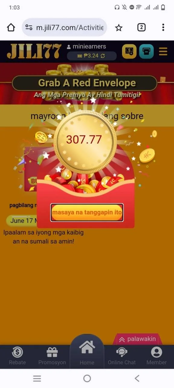 Screenshot_20240617_130326.webp