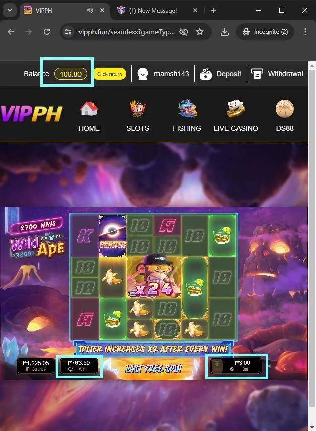 22.webp