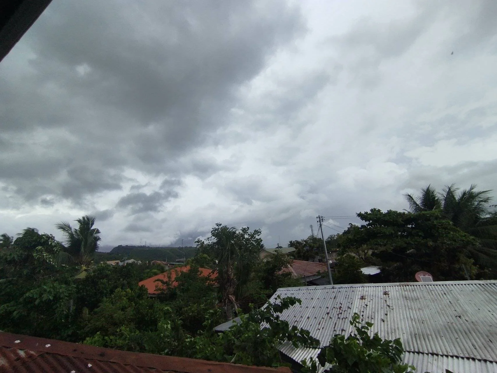 1000005051.webp