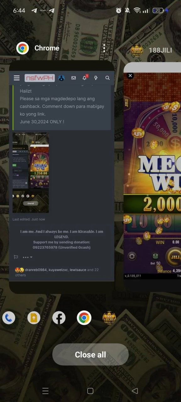 1000008878.jpg