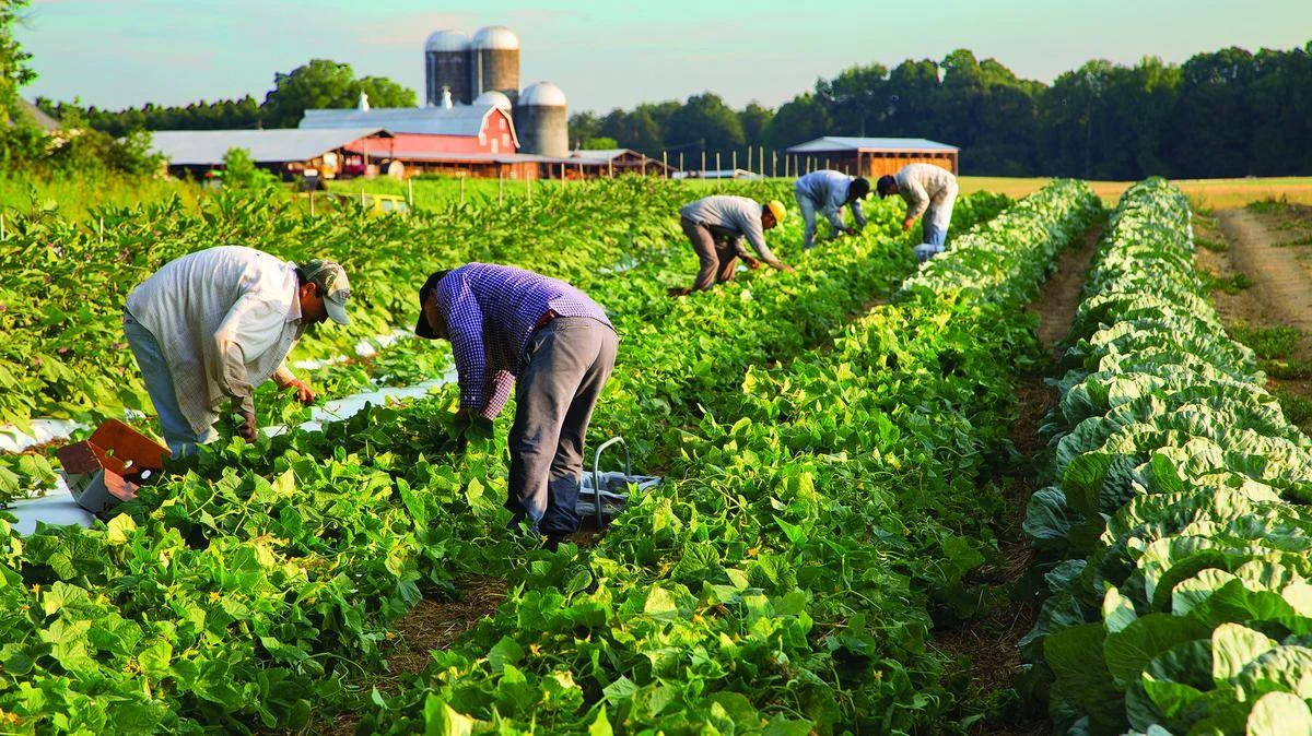 farming.webp
