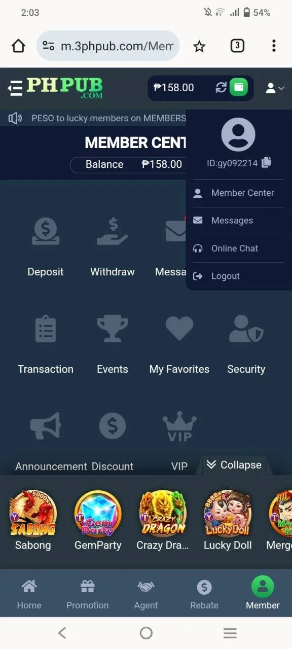 Screenshot_20240719_140327.webp