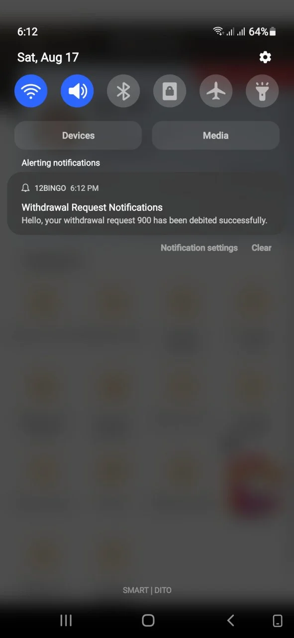 Screenshot_20240817-181243.webp