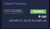Screenshot 2024-07-31 213410.webp