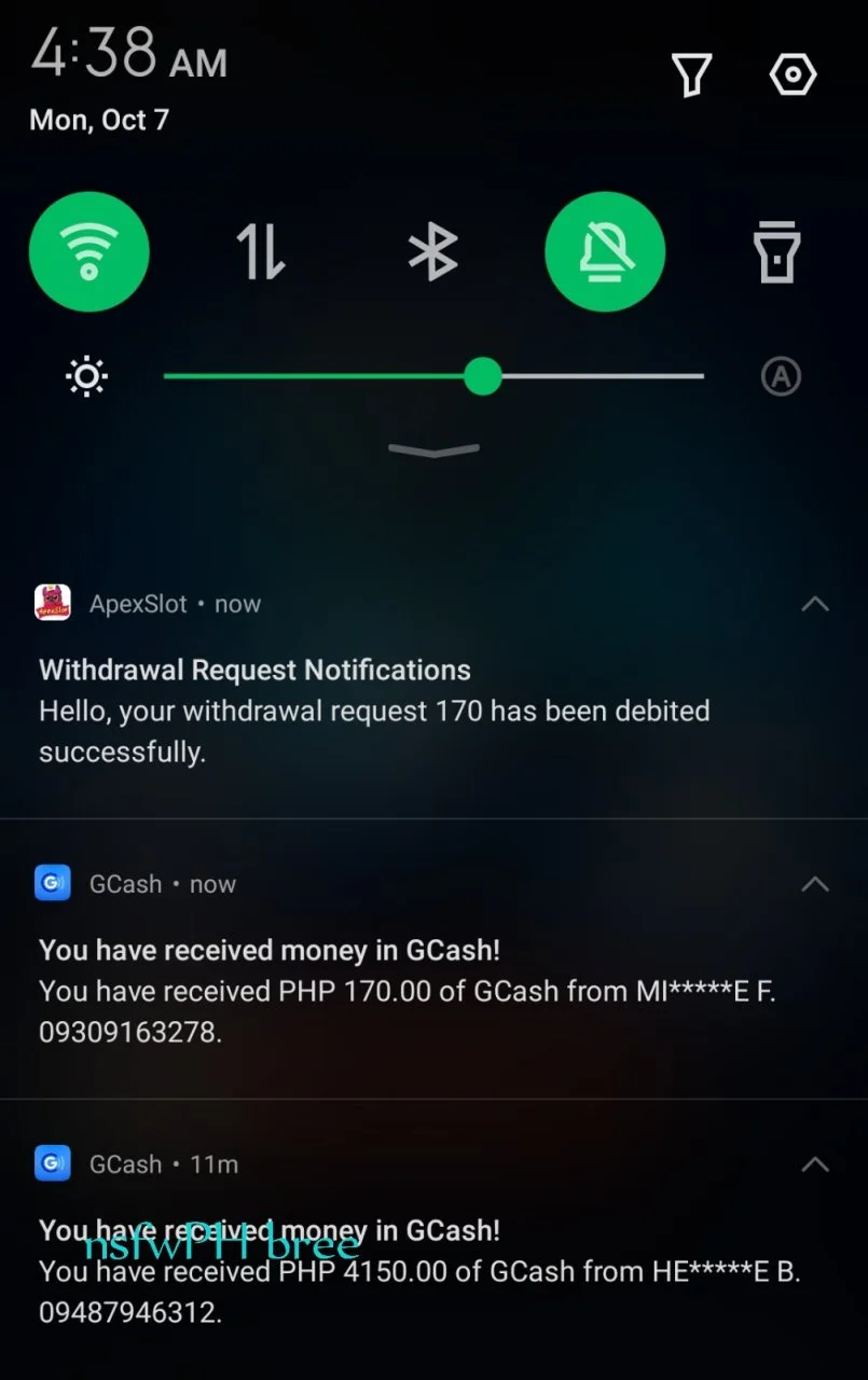 Screenshot_20241007-043821_1.jpg