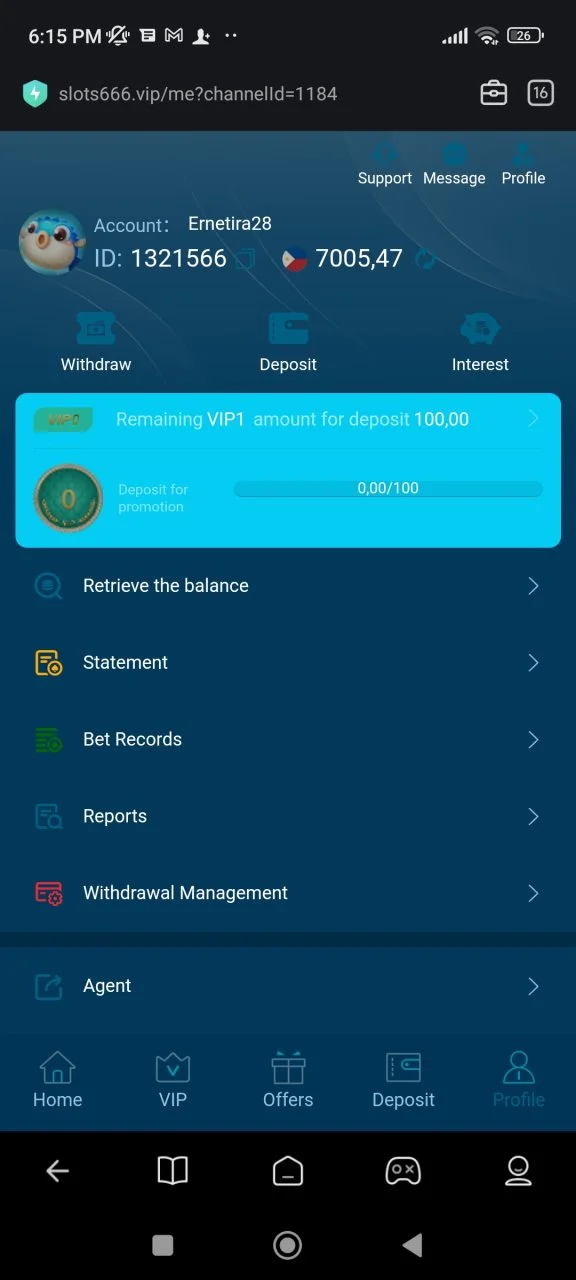 Screenshot_2024-10-17-18-15-45-321_com.mi.globalbrowser.webp