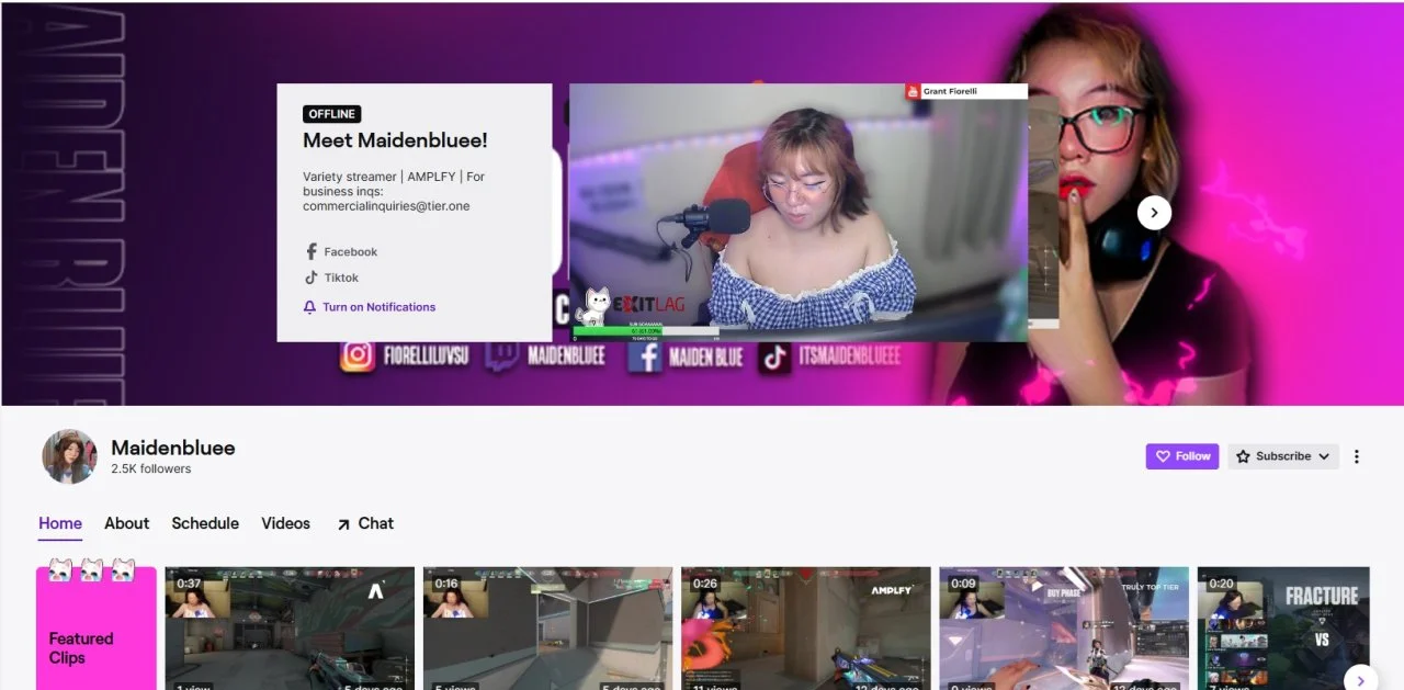 maidenbluee TWITCH.webp