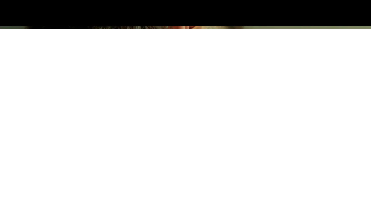 1732628907504.webp