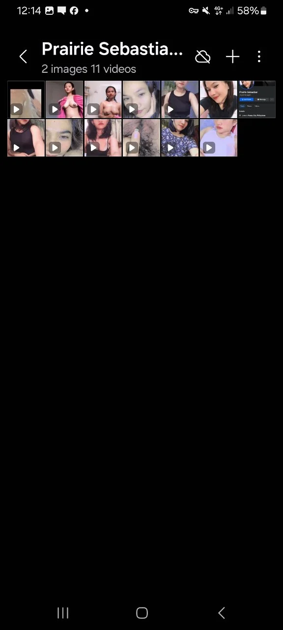 Screenshot_20241130_001417_Gallery.jpg