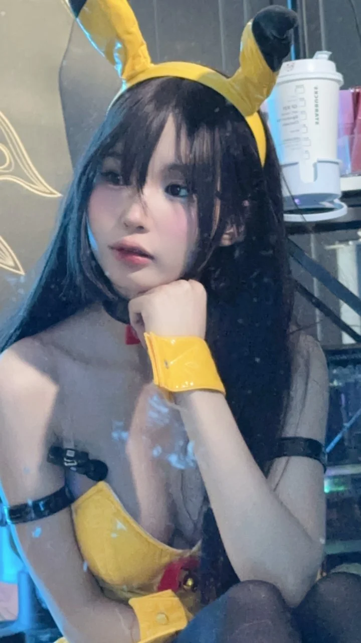 pika247f944d7f26de579.webp