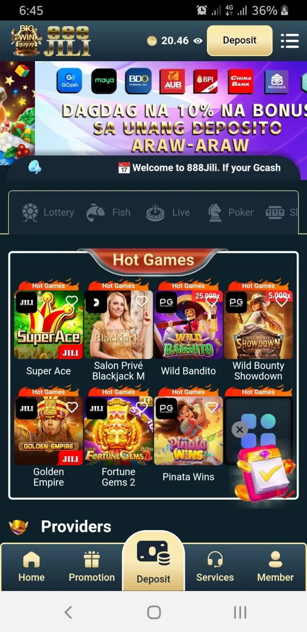 Screenshot_20241210-064543.webp