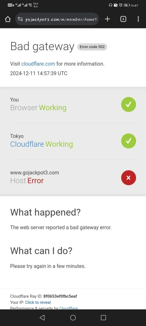 Screenshot_20241211_225747_com.android.chrome.webp