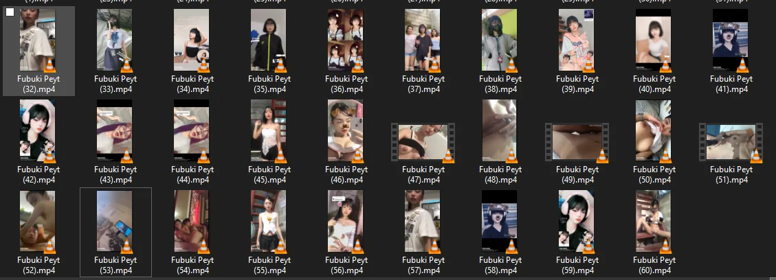 1734889882527.webp