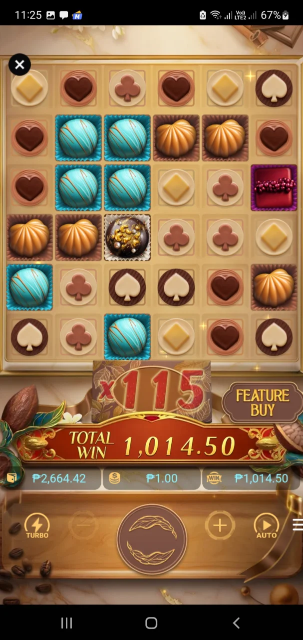 Screenshot_20250108-232538.webp