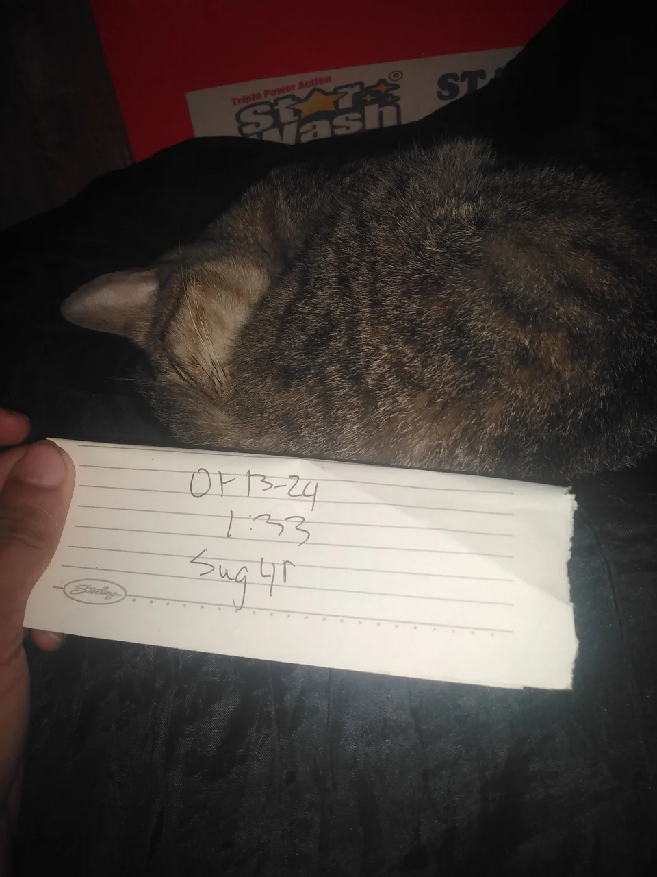 IMG_20250113_013406.webp