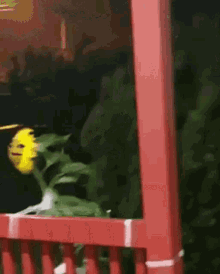 sunflower-flower.gif