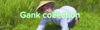 gankcollect.gif